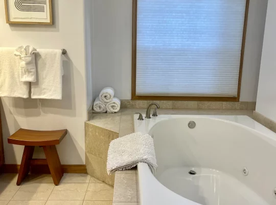 Large jetted tub in the primary bathroom.
